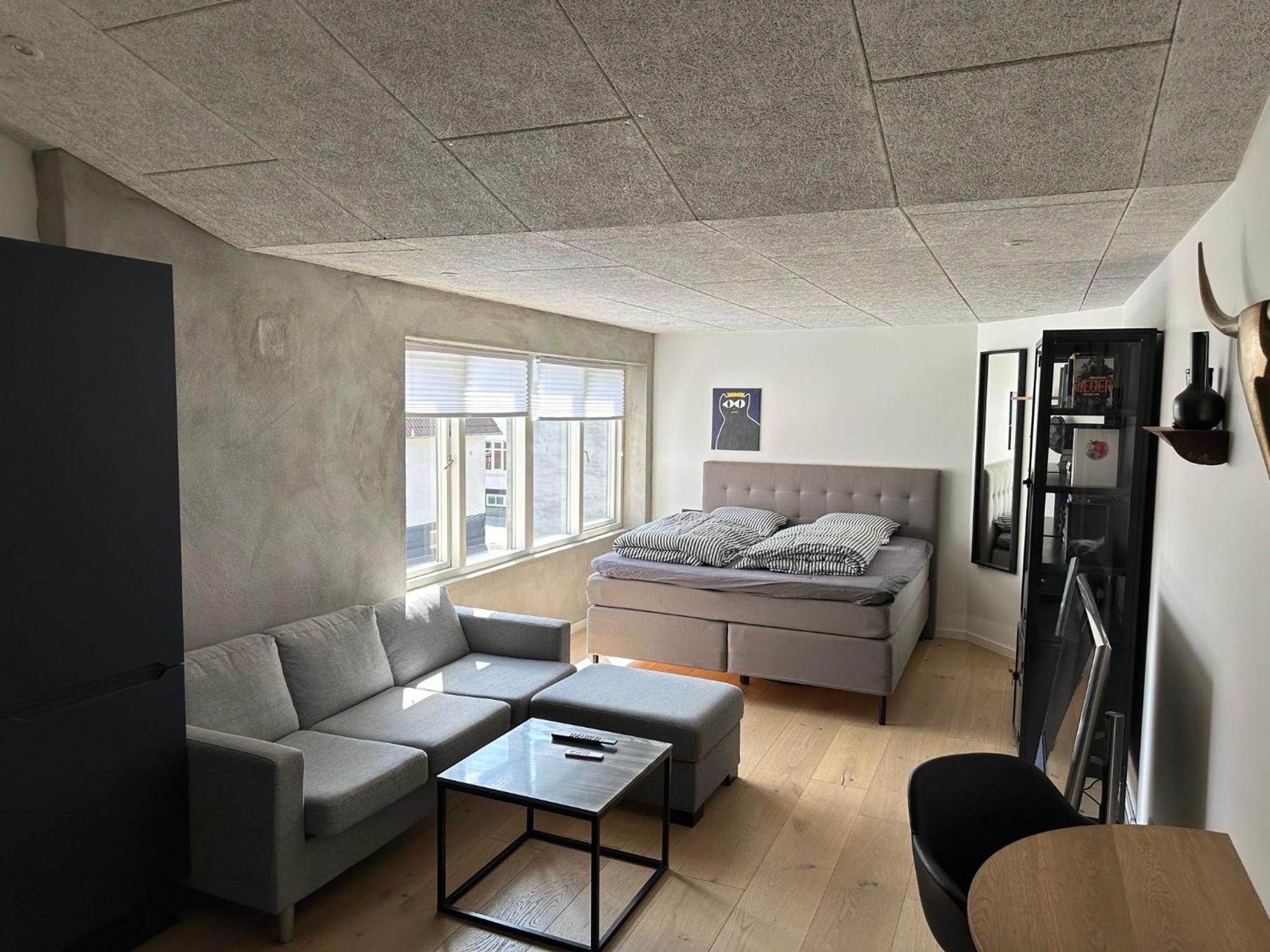 Ekslusiv Lejlighed Apartment Хернинг Екстериор снимка